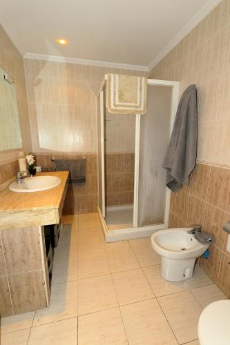 a bathroom with a toilet and a sink and a shower at The Mare House abierto a estancias medias in Hellín