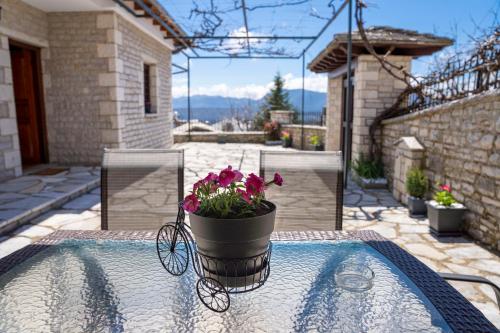 a pot of flowers on a table on a patio at Zagori Home in Monodendri