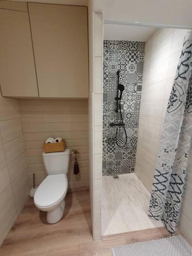 une petite salle de bain avec toilettes et douche dans l'établissement Charmant appartement au calme, à Saint-Romain-la-Motte