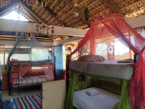 um quarto com 2 beliches num autocarro em Ivanna hostel mazunte em Mazunte