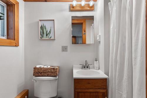 a bathroom with a toilet and a sink and a mirror at Mountainscape Cabins 1 in Thornton