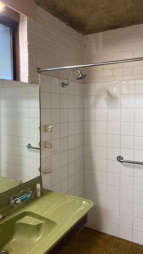 a bathroom with a green sink and a mirror at Pemberton Hostel - note - Go to Gloucester Motel Reception for check in - Backpackers 88 days farm work available in the Manjimup and Pemberton Region in Pemberton