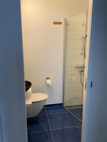 łazienka z toaletą i prysznicem w obiekcie Badehotel Harmonien w mieście Ærøskøbing