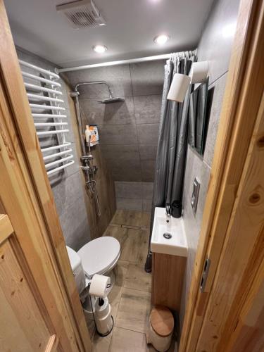 a small bathroom with a toilet and a shower at Domek nad Potokiem w Beskidach in Rajcza