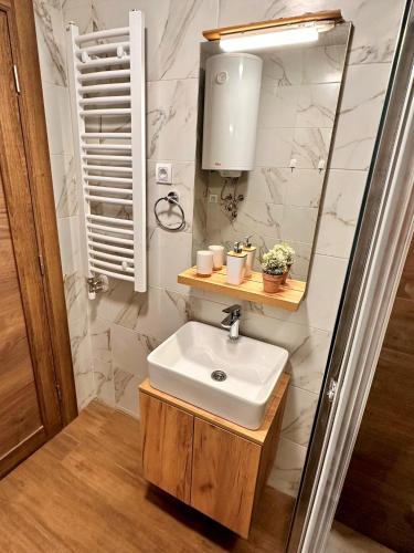 a bathroom with a sink and a mirror at Lexi Borovi apartman in Divčibare