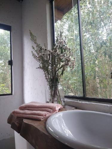 Yahoo ecolodge – Photos 3