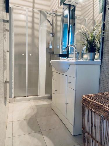 une salle de bain avec un lavabo et une douche dans l'établissement Villa Constantine a 2 pas du port de Boyardville, à Saint-Georges-dʼOléron