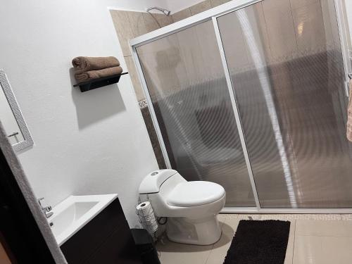 a bathroom with a shower and a toilet and a sink at Departamento 103 in Mazatlán