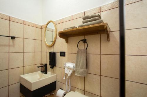 Manzanillo Caribbean Resort في بويرتو فيجو: حمام مع حوض ومرحاض ومرآة