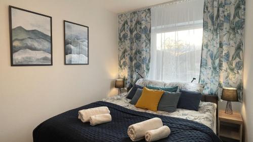 a bedroom with a bed with pillows and a window at Apartament Błękitne Spa in Ustrzyki Dolne