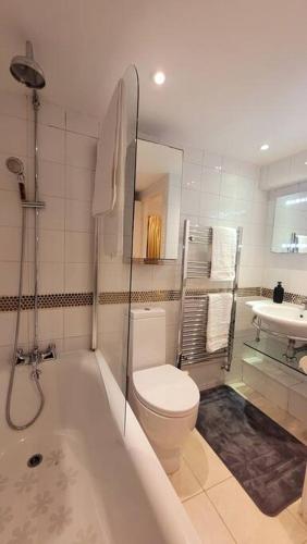 a bathroom with a toilet and a tub and a sink at Spacious 2 bedroom flat in Baker street in London