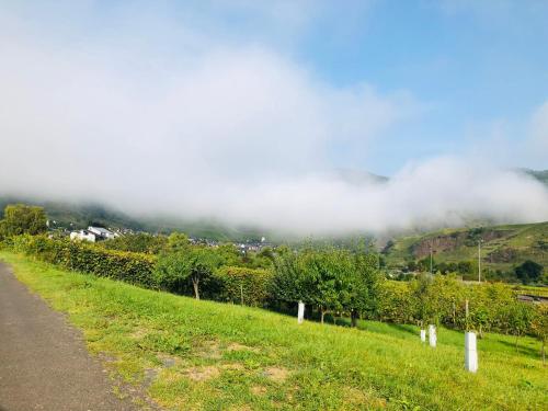 a country road with a field and clouds in the background at Ferienhaus Scheid in Bremm