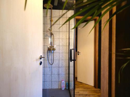 a shower in a bathroom with a tile wall at La Maison Rouge Au coeur de la ville. in Riquewihr