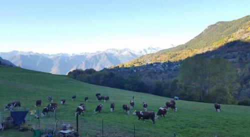 Příroda nedaleko prázdninového domu