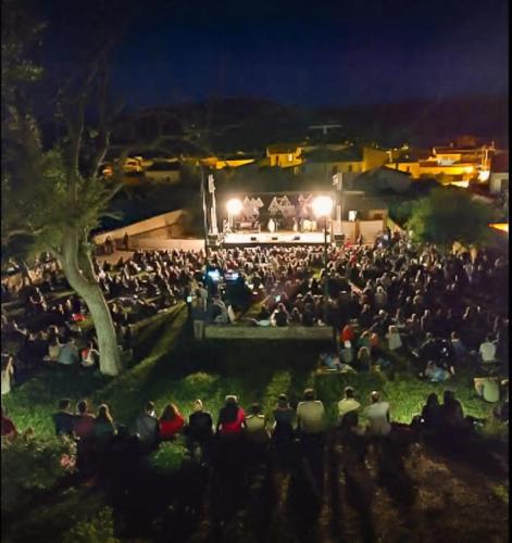 a large crowd of people watching a concert at night at B&B S'Omu Antiga in Nureci