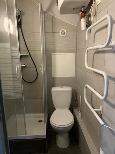a small bathroom with a toilet and a shower at Appartement T 1bis in Saint-Geoire-en-Valdaine