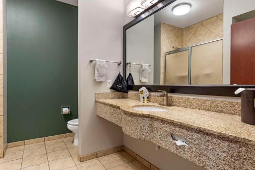a bathroom with a sink and a mirror and a toilet at Best Western Plus Duncanville Dallas in Duncanville