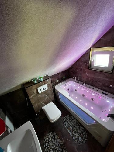 瓦茨的住宿－Villa Peisazhi，紫色浴室设有浴缸和卫生间