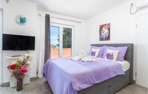 a bedroom with a large bed and a tv at Stunning Apartment In Stara Baska With Wifi in Stara Baška