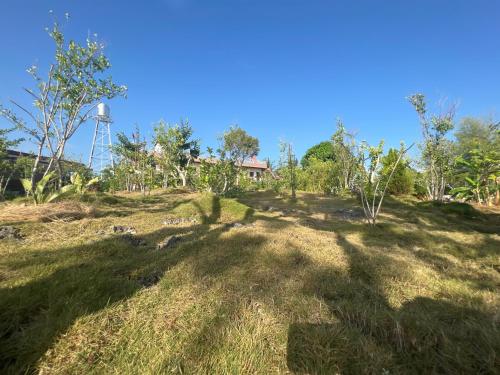 a grassy hill with a water tower in the background at La Plumerias in Moalboal