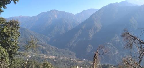 a view of a mountain range with trees at The Bliss Homestay in Gangtok