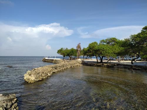 a body of water with trees and a beach at Sol y Mar in Puerto Limón