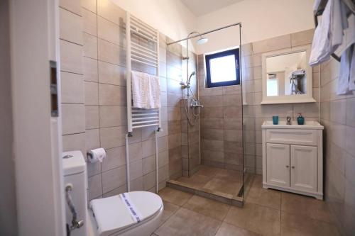 a bathroom with a shower and a toilet and a sink at REȘEDINȚA PRINȚESELOR in Vadu