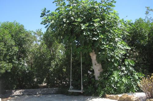 Gallery image of Finca Limón in Pizarra