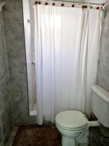 a bathroom with a toilet and a shower curtain at NUDE in Caleta Olivia