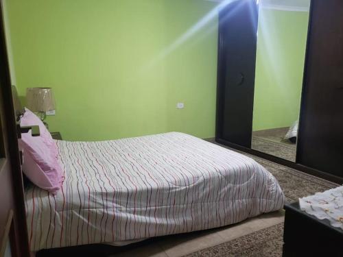um quarto com uma cama e um espelho em Family Friendly Appartement-Giza no Cairo