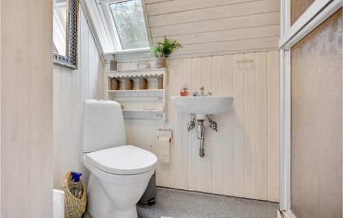 a bathroom with a toilet and a sink at Nice Home In Ebeltoft With Kitchen in Ebeltoft