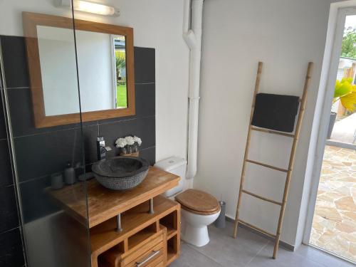 a bathroom with a sink and a toilet and a mirror at Villa bassin bleu in Gourbeyre