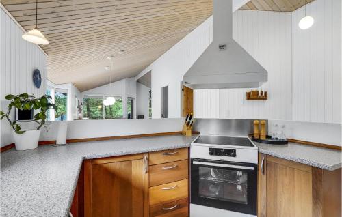 Dapur atau dapur kecil di Holiday Home Blåbærstien Fjerritslev Ii