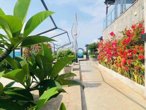 Zahrada ubytování Nice Apartment Vũng Tàu OASKY