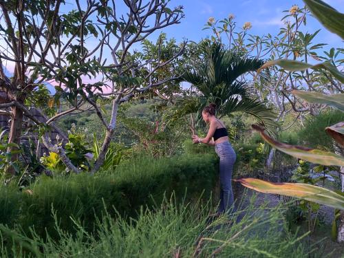 The Pancor Jungle Resort – Photos 4
