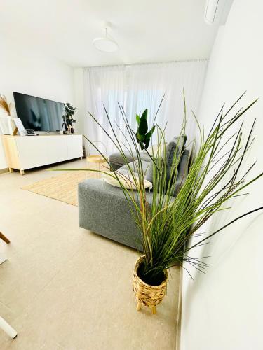 a living room with a couch and a potted plant at Apartamento Rokita Blanca in La Manga del Mar Menor