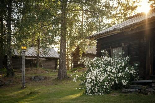 una cabaña con un arbusto de flores blancas delante de ella en Proselinsgården, en Bjursås