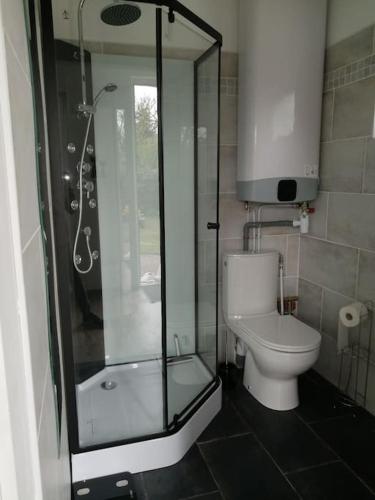 une salle de bain avec toilettes et douche en verre dans l'établissement Le petit Loir, gîte sur la Loire à vélo, à Clamour