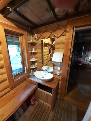 a bathroom with a sink and a mirror at Dīķīši in Daugavpils