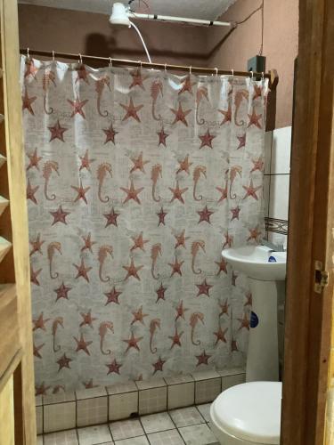 y baño con cortina de ducha, aseo y lavamanos. en CASA BATZ #1, en San Pedro La Laguna