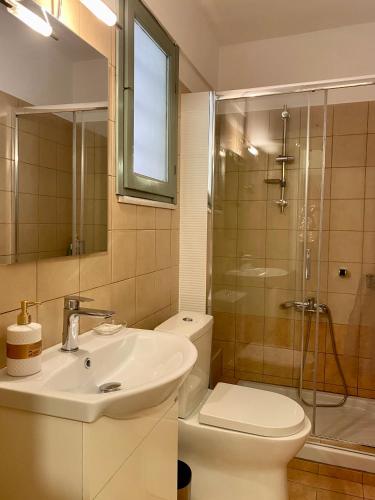 a bathroom with a toilet and a sink and a shower at RITSA ART RESIDENCE in Chania