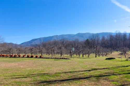 a field with trees and mountains in the background at Orchard Hideaway in Cosby
