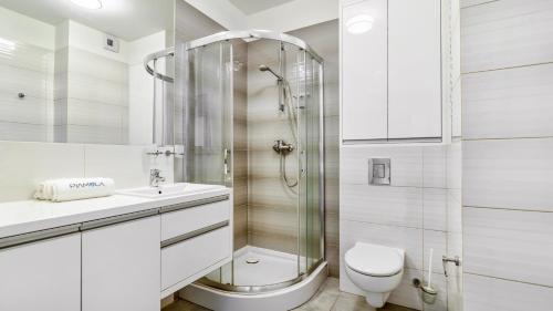 La salle de bains est pourvue d'une douche, de toilettes et d'un lavabo. dans l'établissement Marina Kąty Rybackie Apartamenty PIAMOLA, à Kąty Rybackie