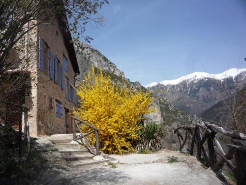 Fotografia z galérie ubytovania Haut de grange en pierre v destinácii Roquebillière