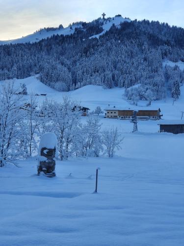 a car parked in a snow covered field at Romantik Pension Lehrberg in Sankt Jakob in Haus