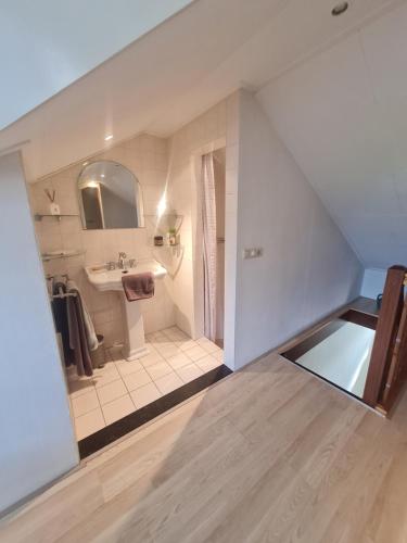 een badkamer met een wastafel, een spiegel en een douche bij Romantisch Gastenverblijf in Lunteren