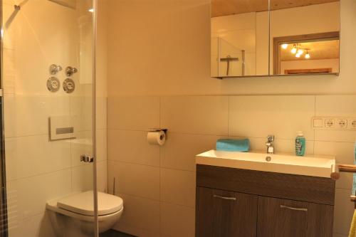 a bathroom with a toilet and a sink and a shower at Ferienwohnung Jaud - Gmund am Tegernsee in Gmund am Tegernsee