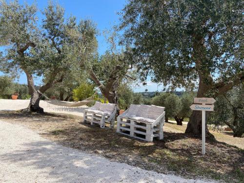 Lichiantidde Home&Breakfast – Photos 3
