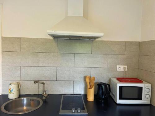 un comptoir de cuisine avec un micro-ondes et un évier dans l'établissement Studio au cœur d'Aix avec balcon et parking, à Aix-en-Provence