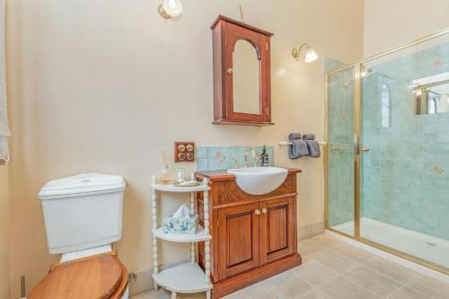 a bathroom with a toilet and a sink and a shower at Clocktower Suites in Echuca